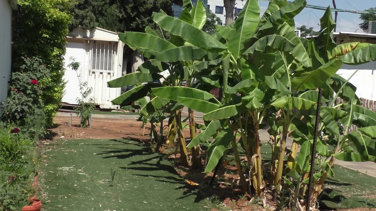 HaYeshiva HaGdola — foto 5