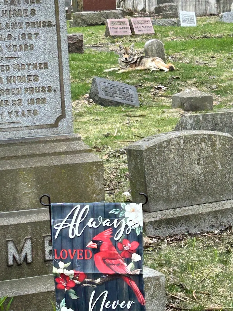 Hebrew Benevolent Cemetery — foto 2