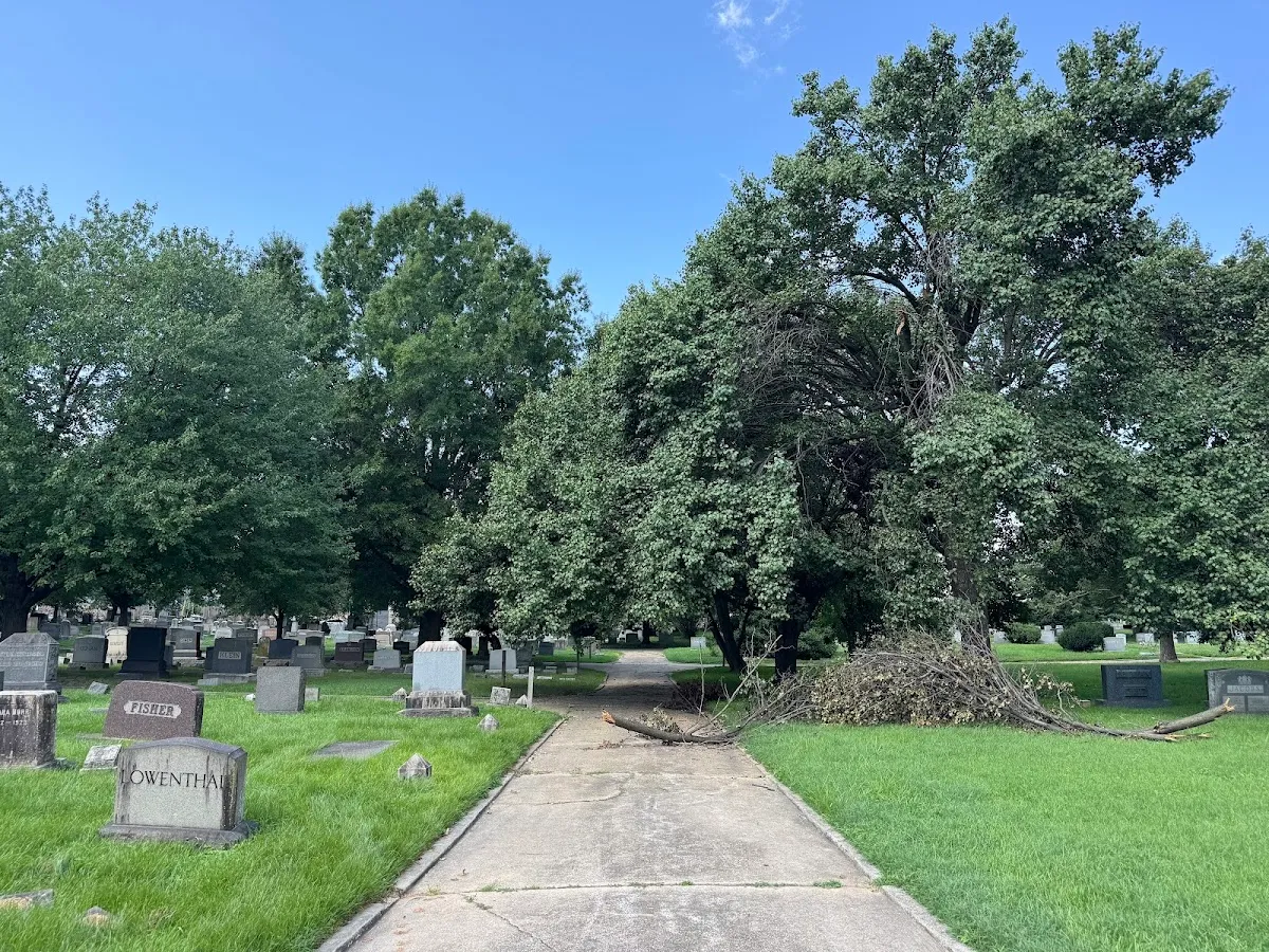 Hebrew Friendship Cemetery — foto 10