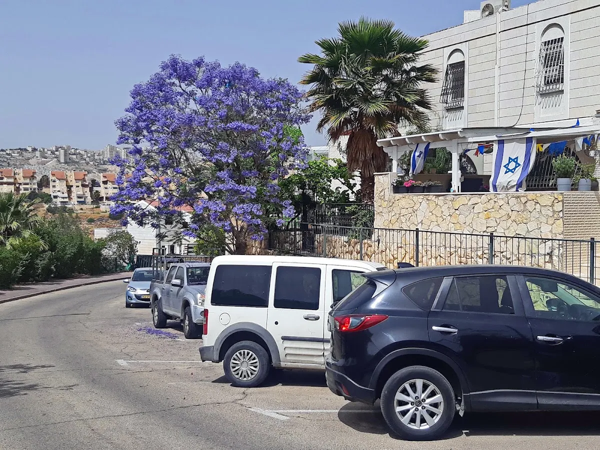 Heichal Aviad Synagogue (Amudei HaShisha) — foto 5