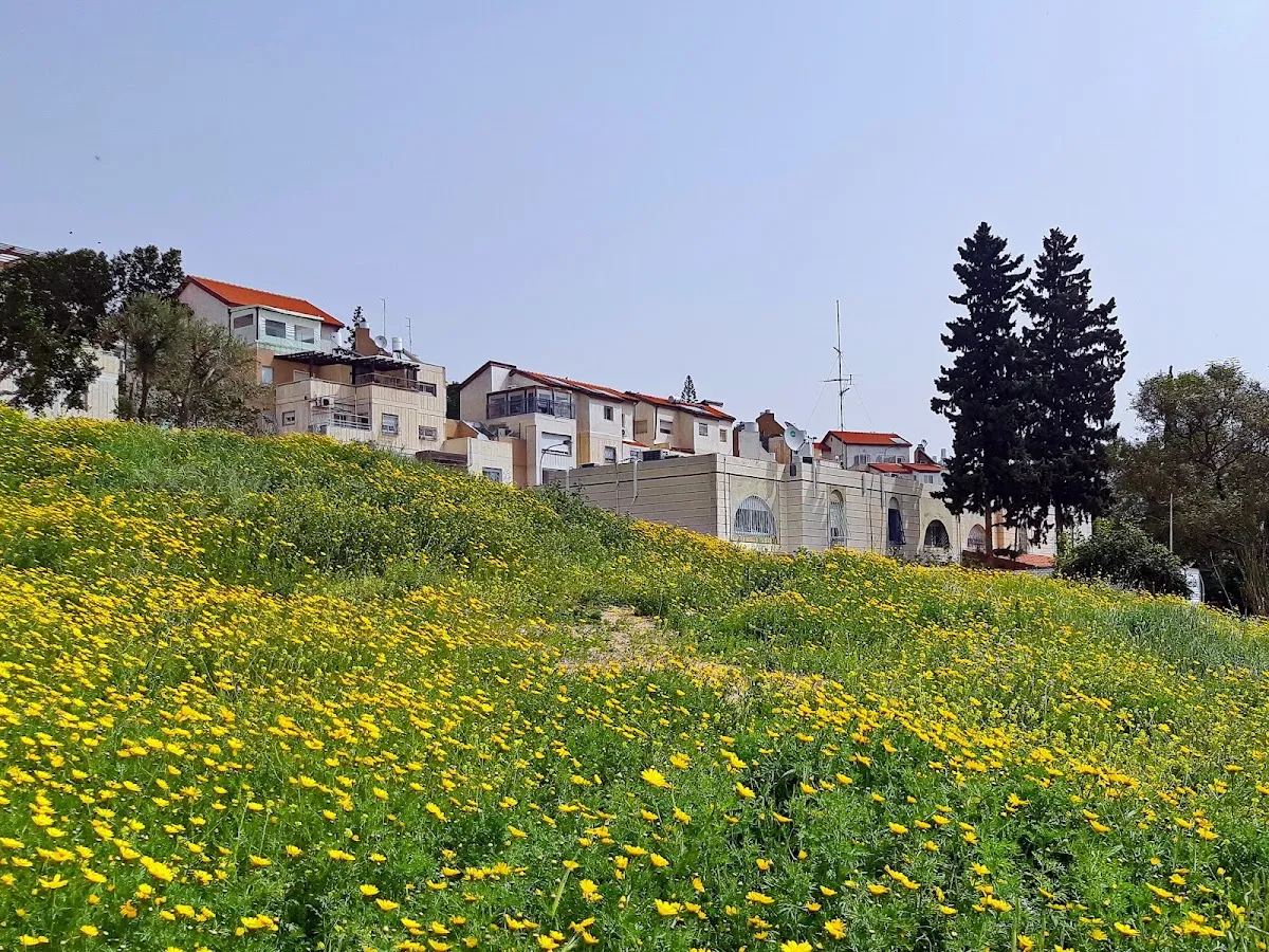 Heichal Aviad Synagogue (Amudei HaShisha) — foto 6