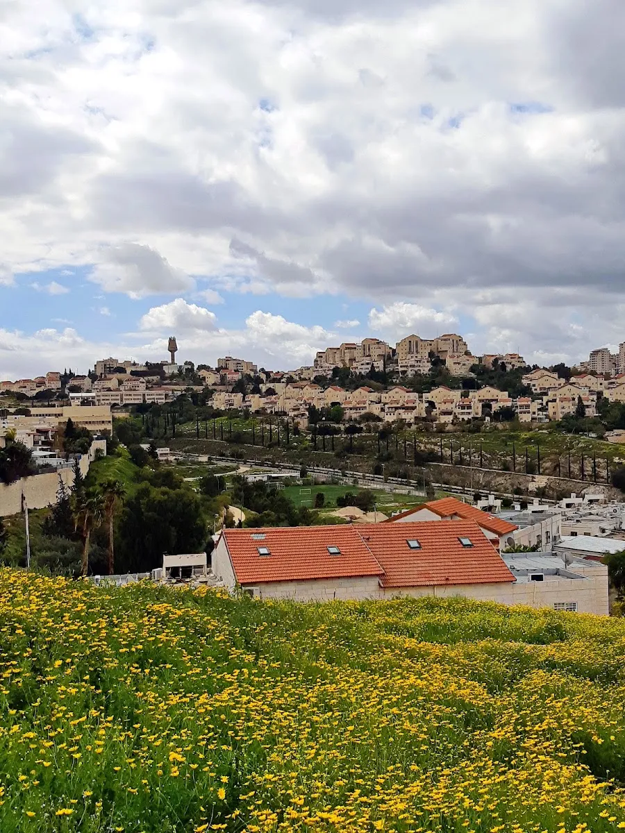 Heichal Aviad Synagogue (Amudei HaShisha) — foto 7