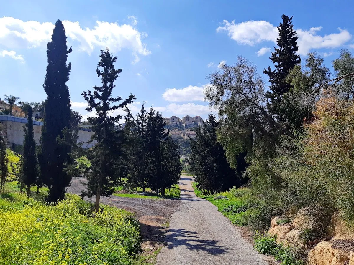 Heichal Aviad Synagogue (Amudei HaShisha) — foto 8