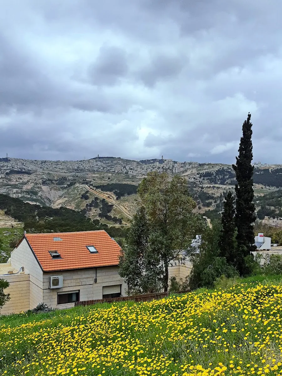 Heichal Aviad Synagogue (Amudei HaShisha) — foto 10