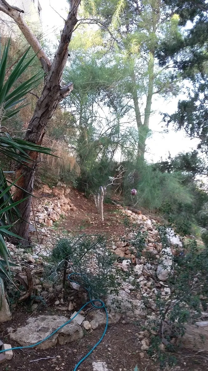 Heichal Eliyahu Synagogue — foto 6