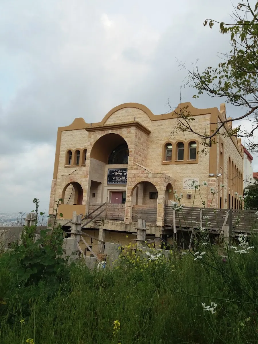 Heichal Ohavei Toratecha Synagogue — foto 7