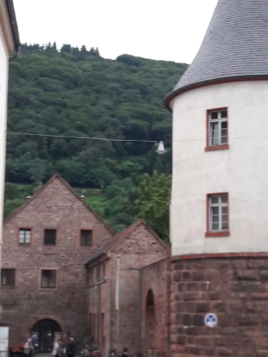 Heidelberg Old Synagogue Memorial — foto 5