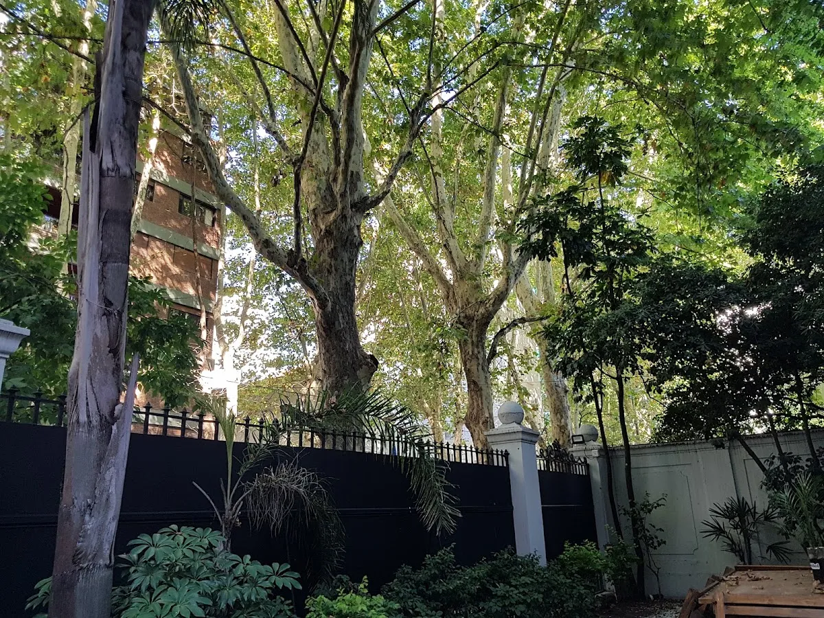 Hillel Argentina — foto 5