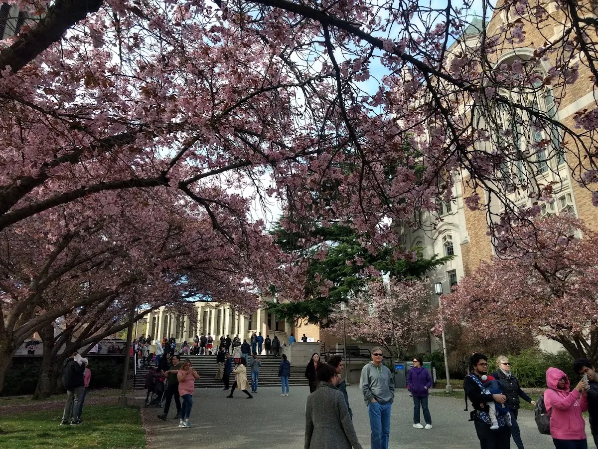 Hillel at the University of Washington: Center for Jewish Life — photo 5