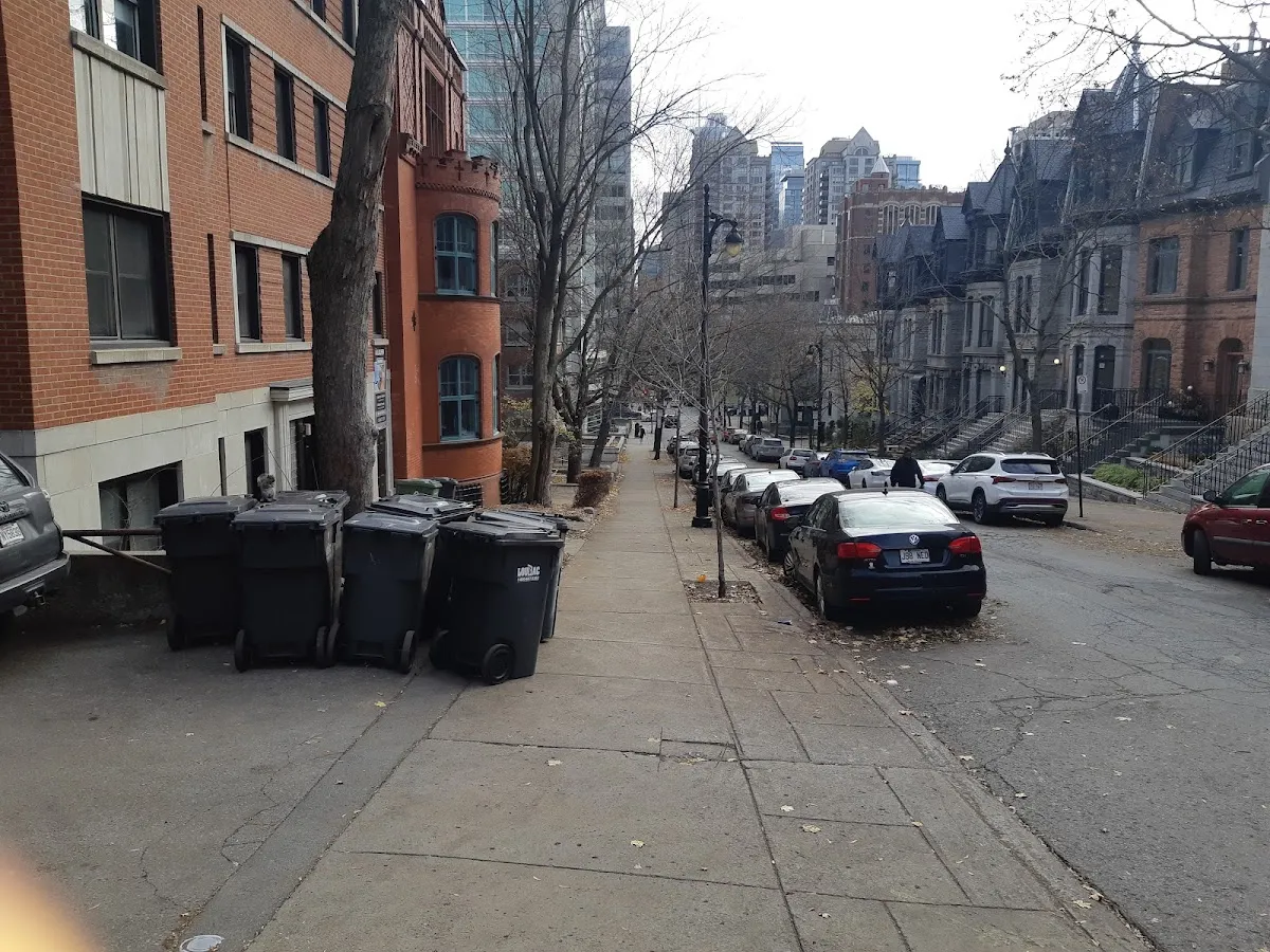Hillel Montréal