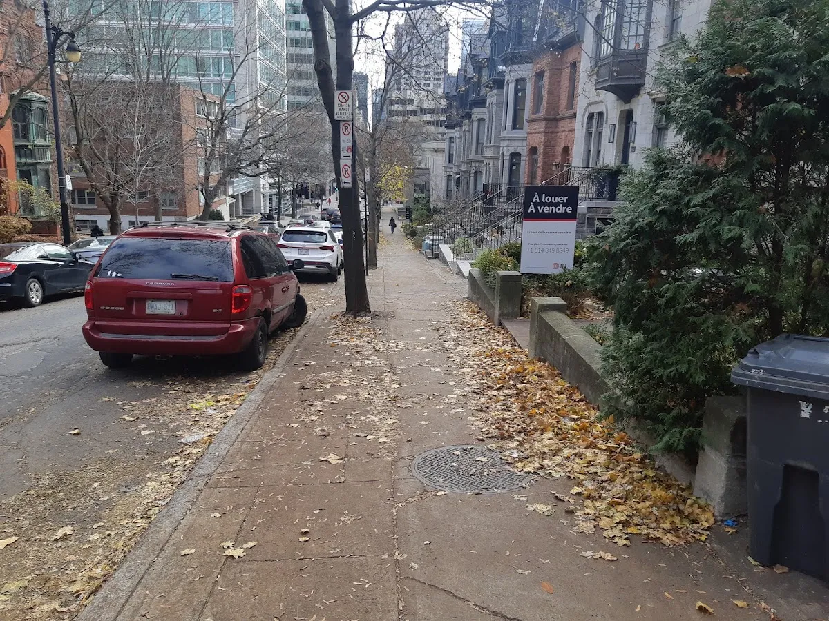 Hillel Montréal — photo 3