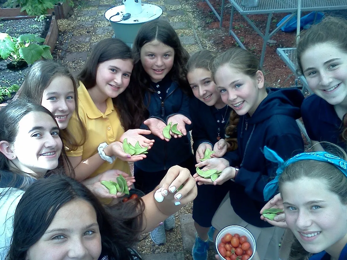 Hochberg Preparatory School (Posnack East) — foto 8