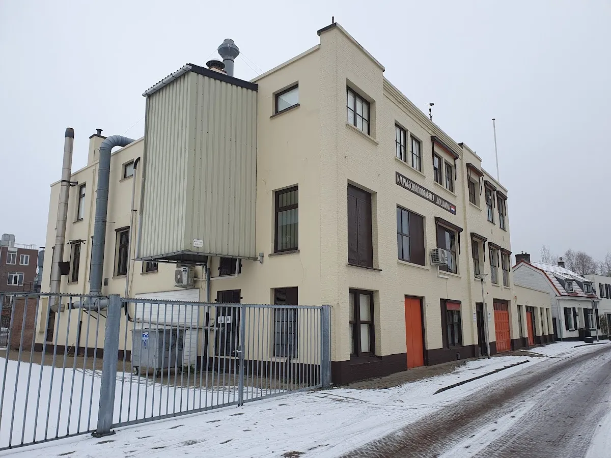 Hollandia Matzes — photo 3