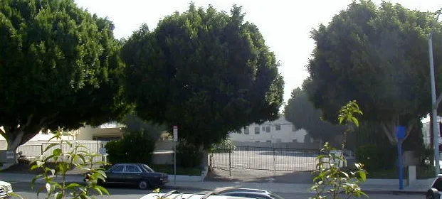 Hollywood Temple Beth El — foto 7
