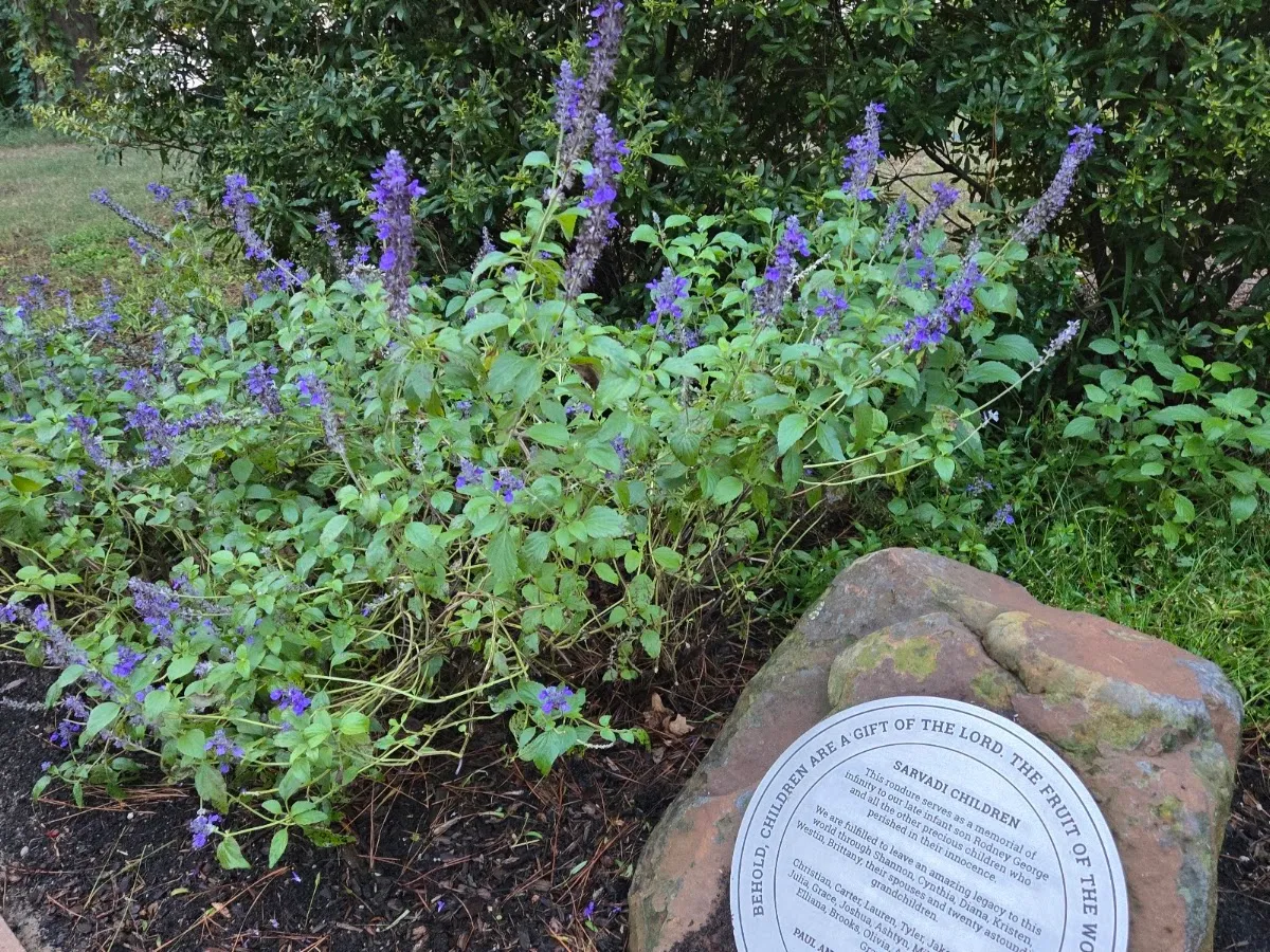 Holocaust Garden of Hope — foto 8