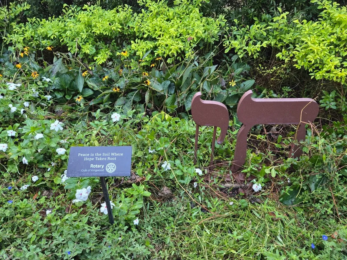 Holocaust Garden of Hope — foto 9