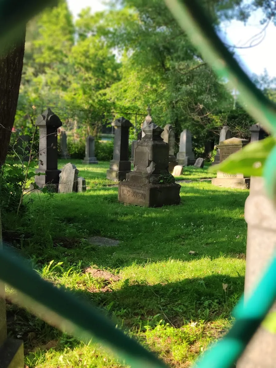 Holy Blossom Cemetery — photo 3