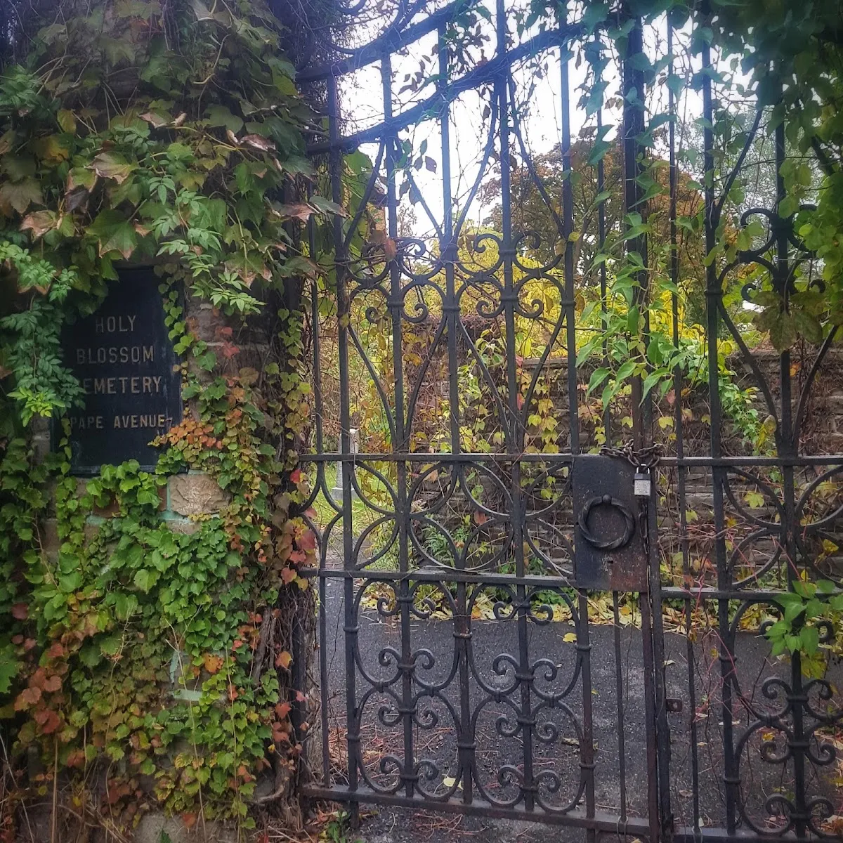 Holy Blossom Cemetery — photo 6