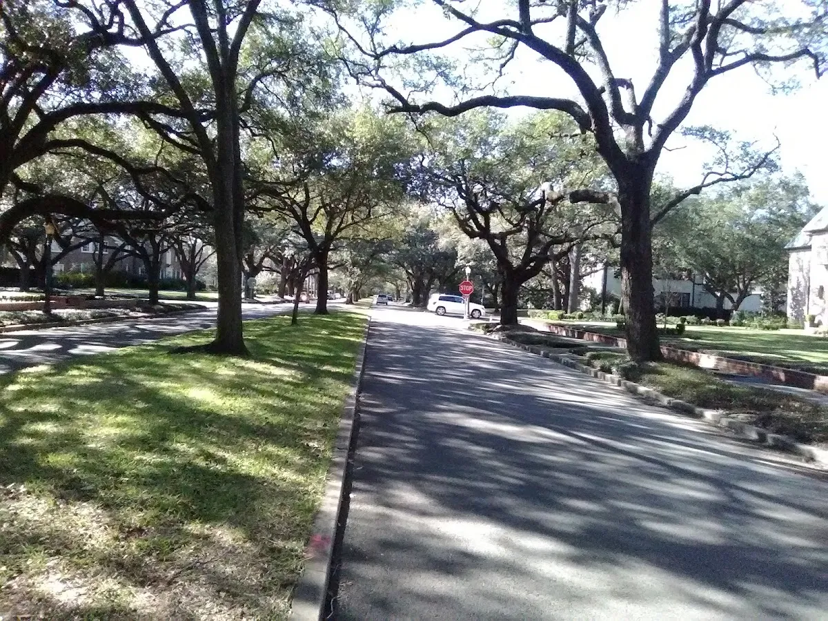 Houston Hillel — photo 9