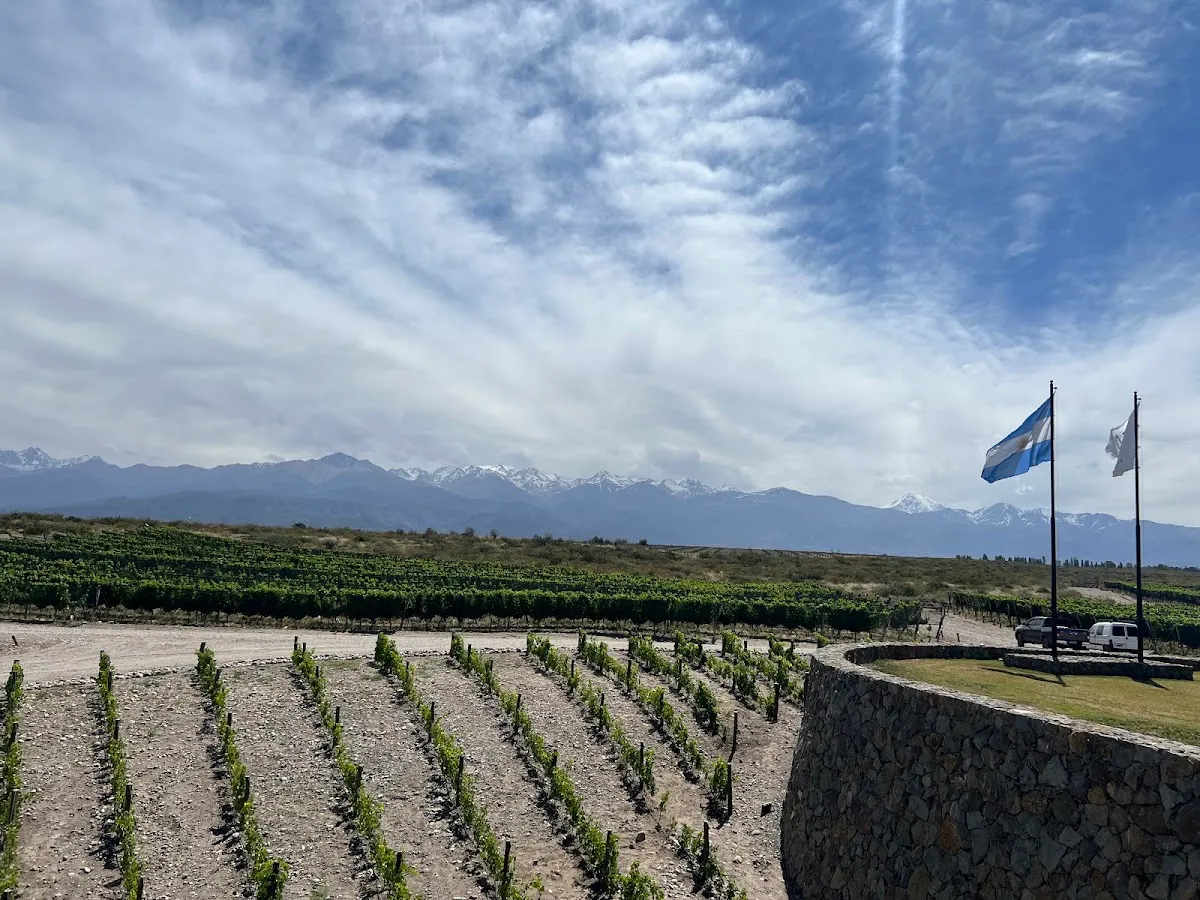 Huentala Wines — experiencias gastronómicas — foto 3