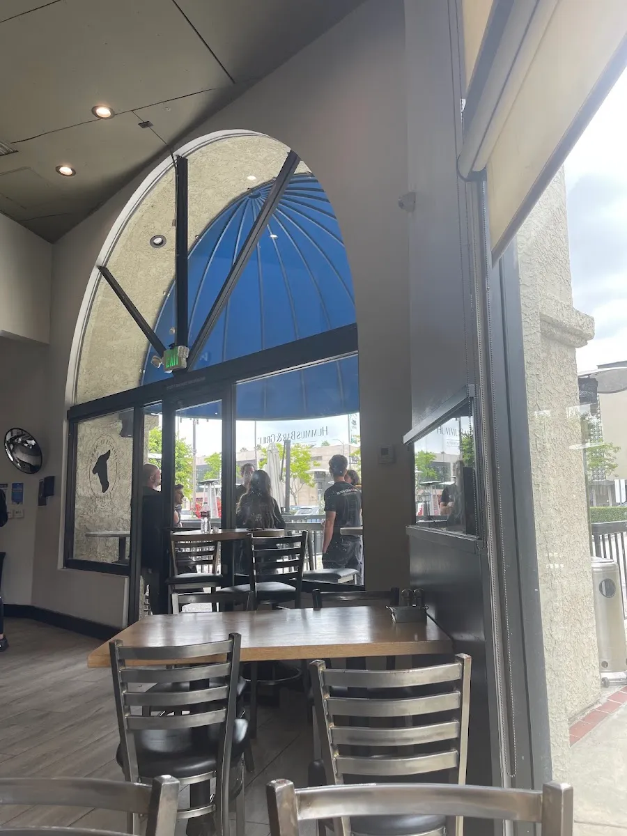 Hummus Bar & Grill — photo 8