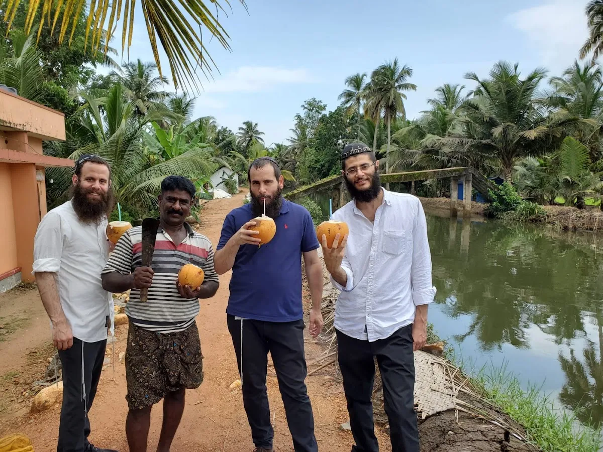 India Kosher Travel — foto 2