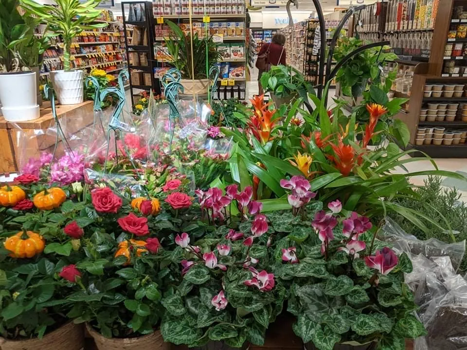 Ingles Markets (Merrimon Ave) — foto 6
