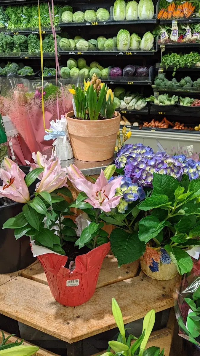 Ingles Markets (Merrimon Ave) — foto 7