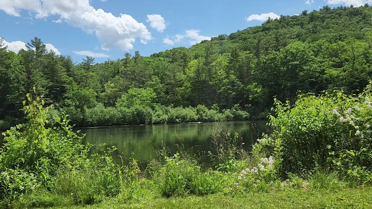 Isabella Freedman Jewish Retreat Center — foto 3