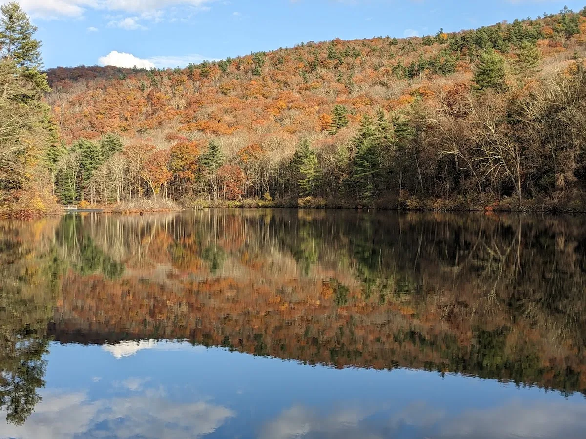 Isabella Freedman Jewish Retreat Center — foto 4
