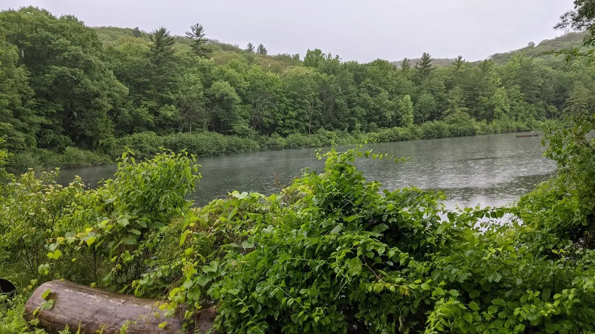 Isabella Freedman Jewish Retreat Center — foto 8