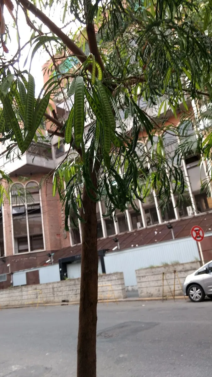 ISEJ — photo 8