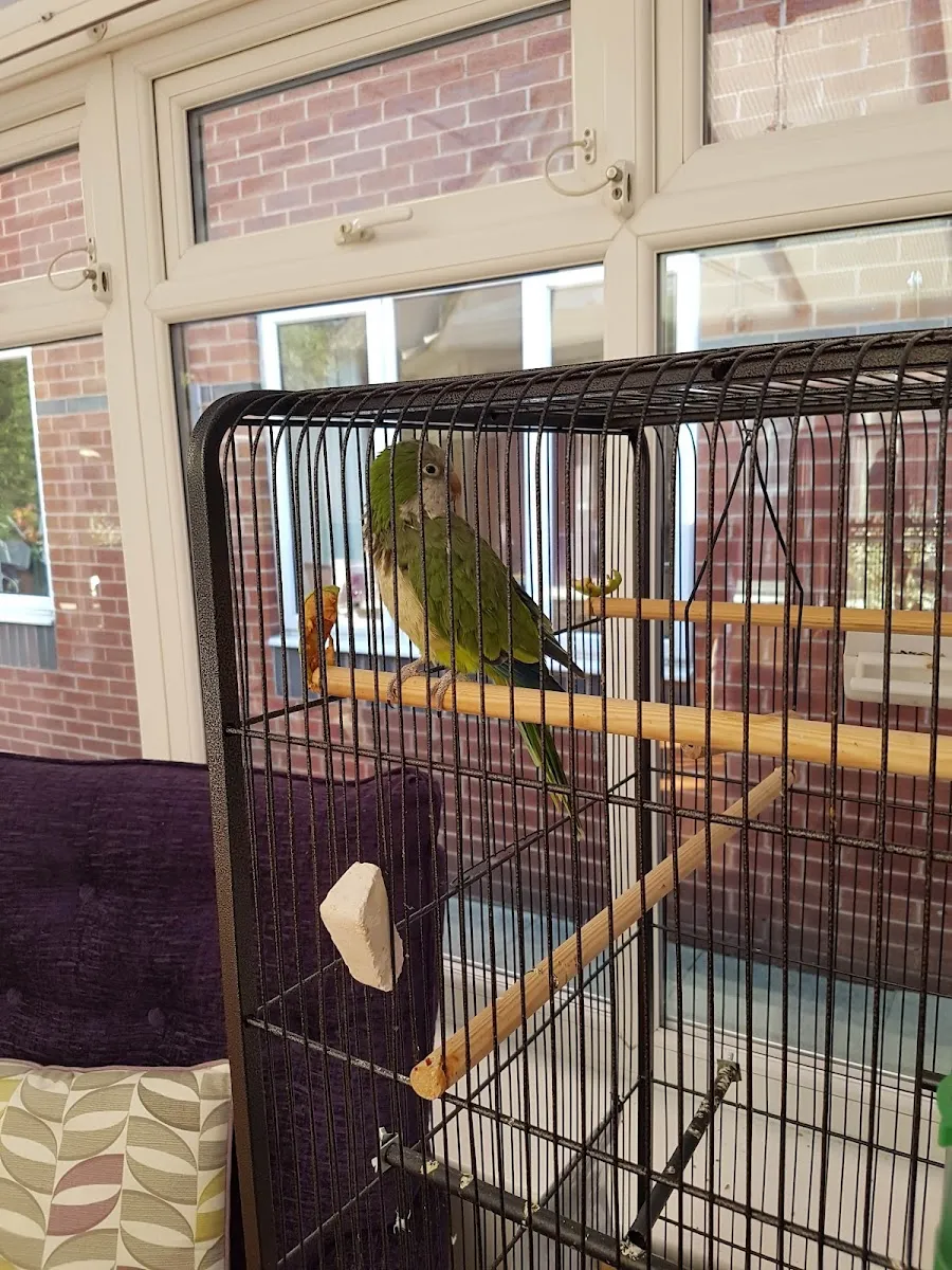 Israel Sieff Court care home, Crumpsall — foto 7