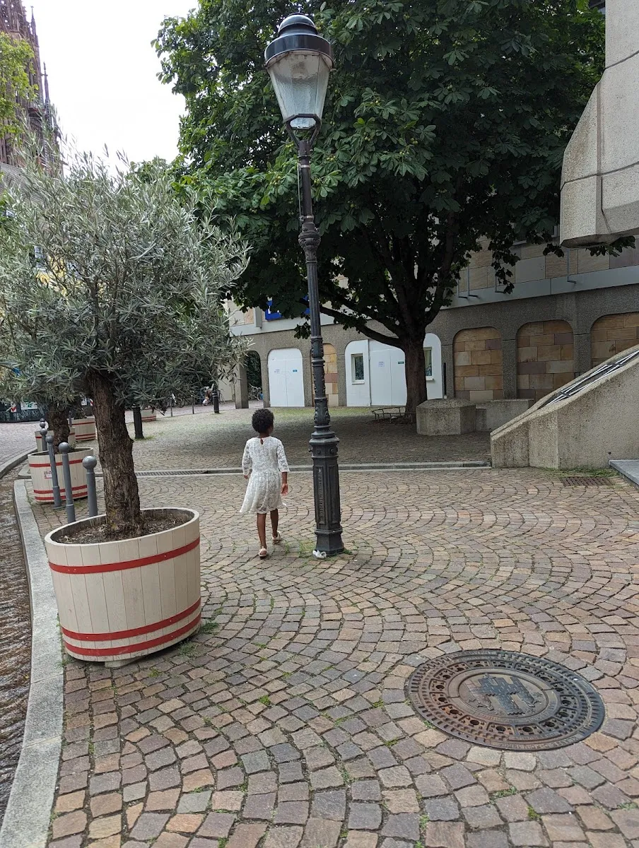 Israelitische Gemeinde Freiburg — foto 7