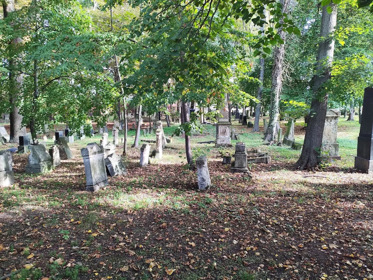 Israelitischer Friedhof Dessau — photo 7