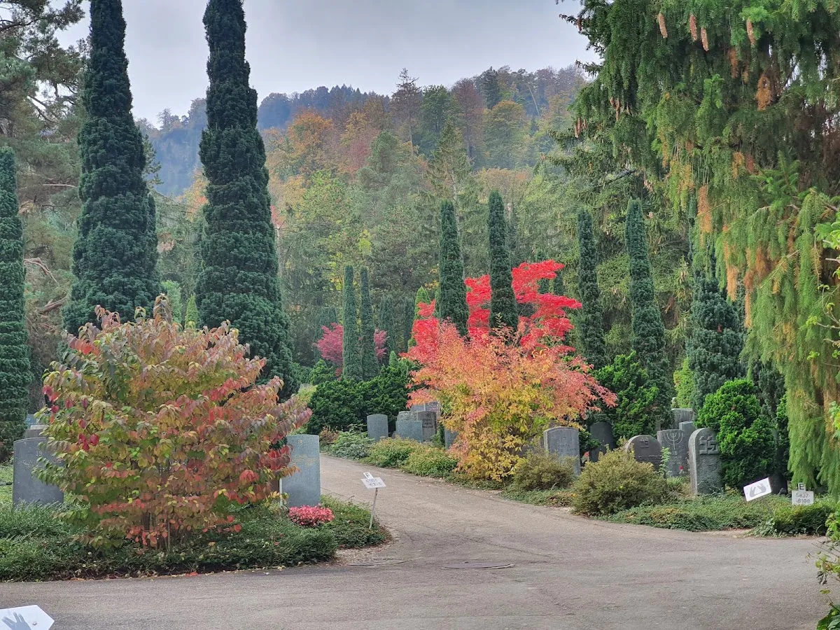Israelitischer Friedhof Friesenberg — foto 2