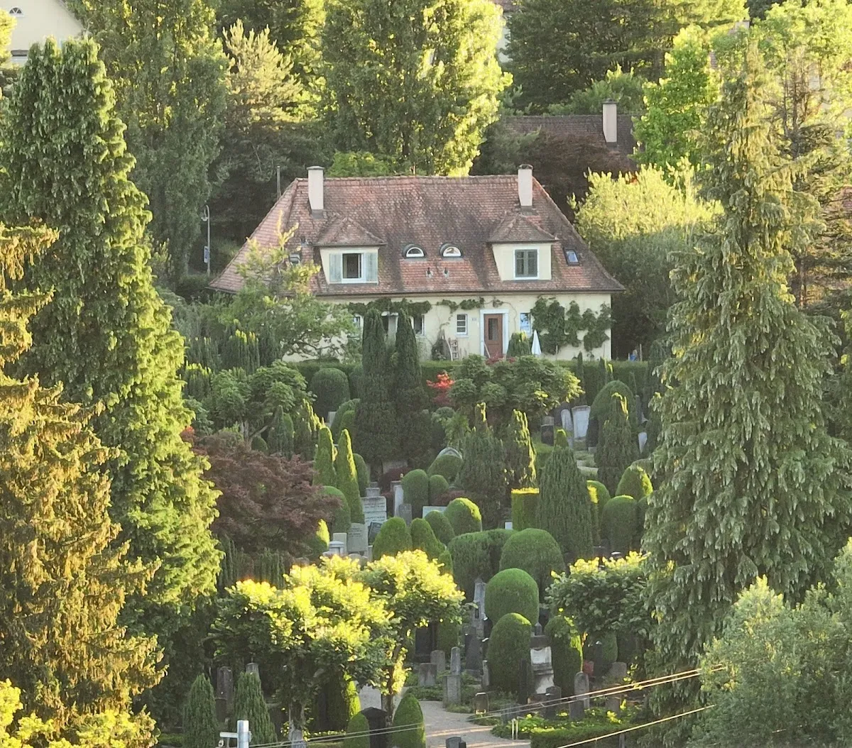 Israelitischer Friedhof Friesenberg — foto 3