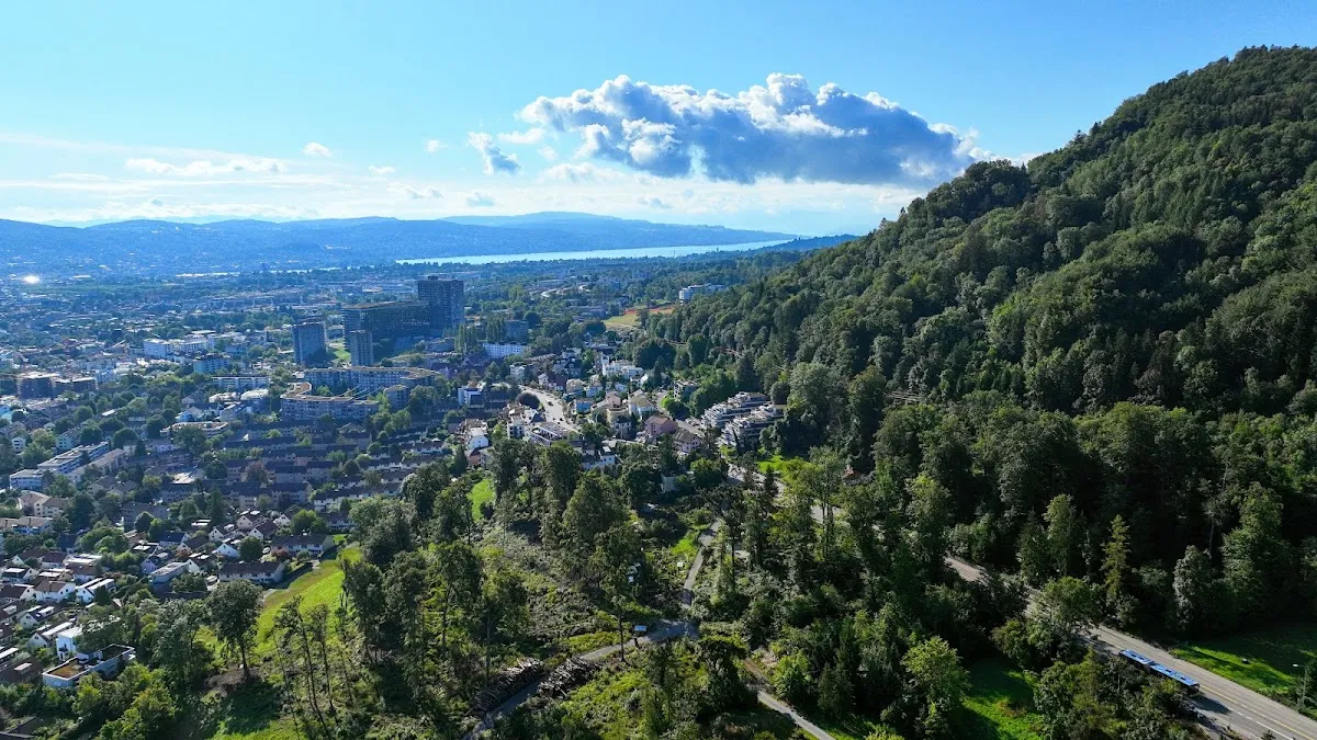 Israelitischer Friedhof Friesenberg — foto 4