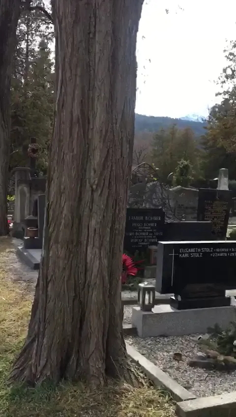 Israelitischer Friedhof Innsbruck — photo 10