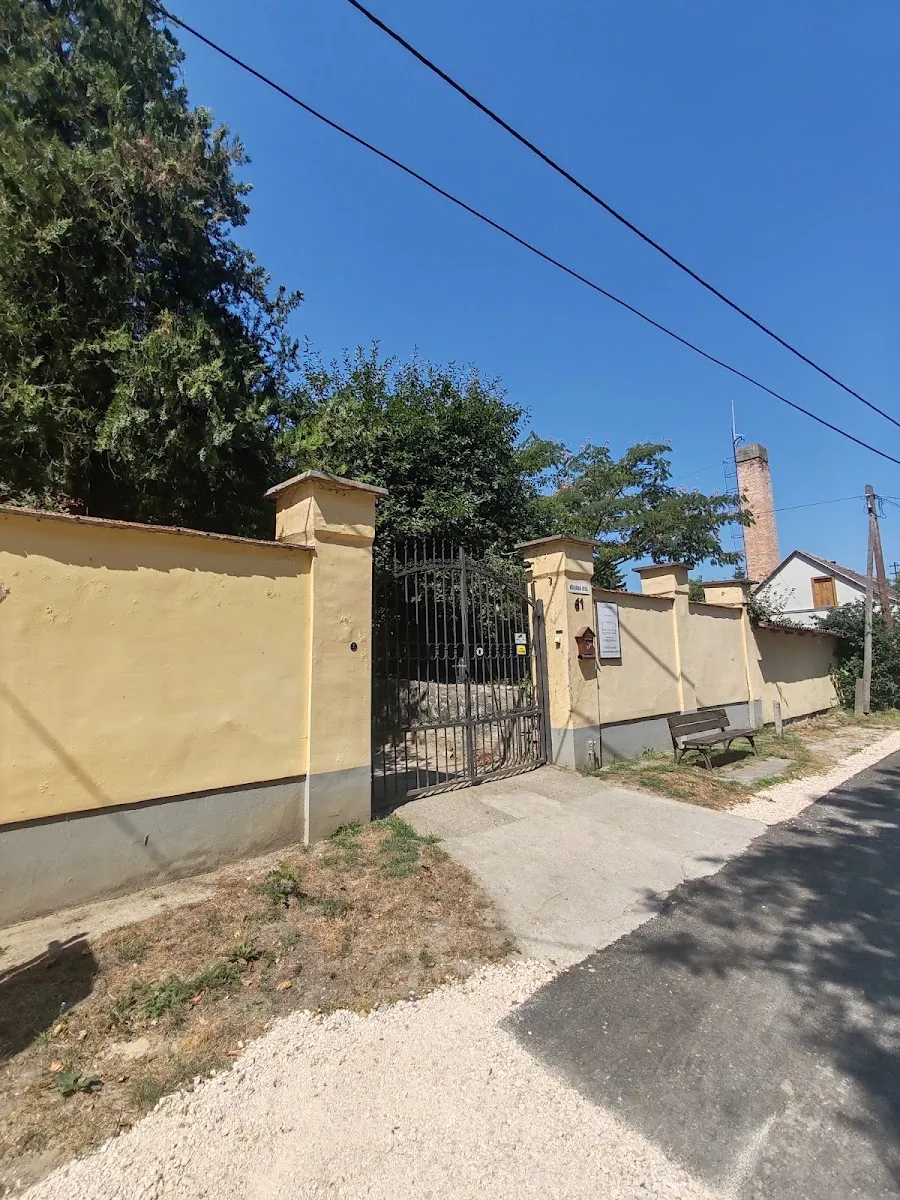 Izraelita temető de Tata — photo 4