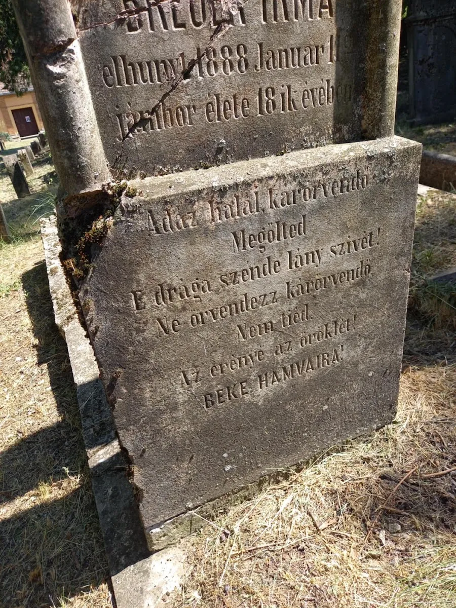Izraelita temető de Tata — photo 10