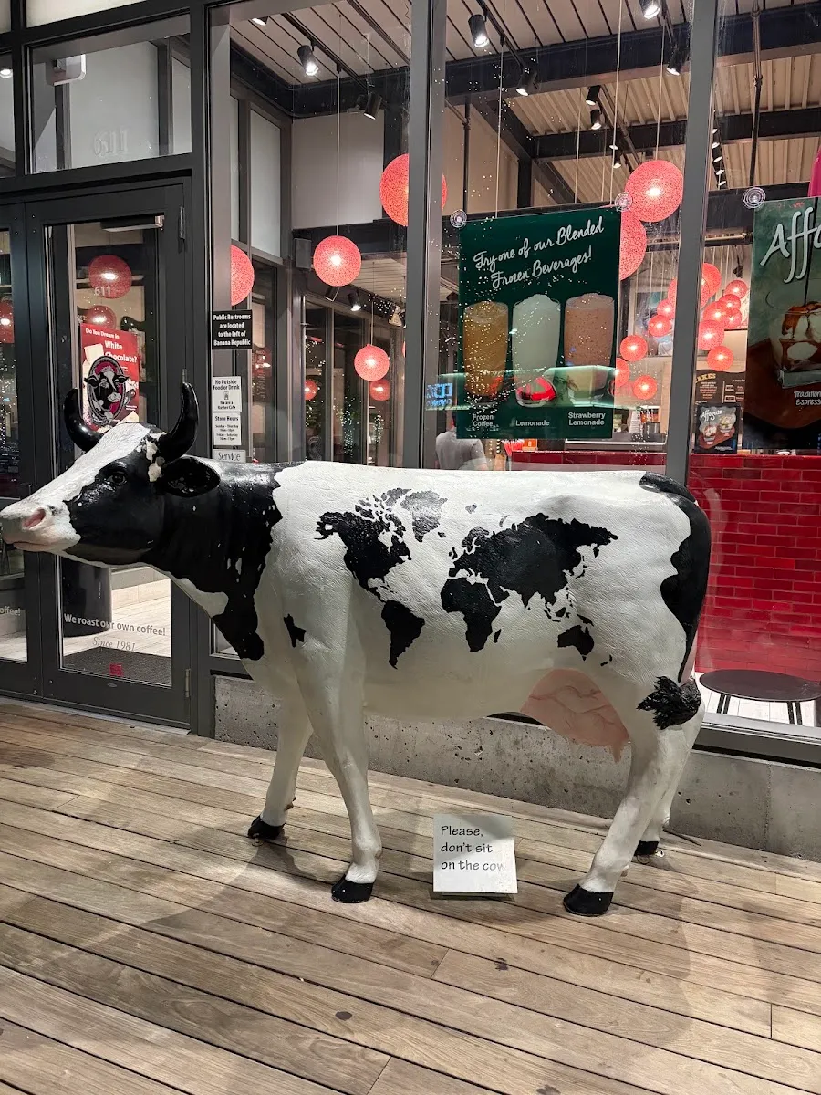 J.P. Licks (Assembly Square) — foto 8
