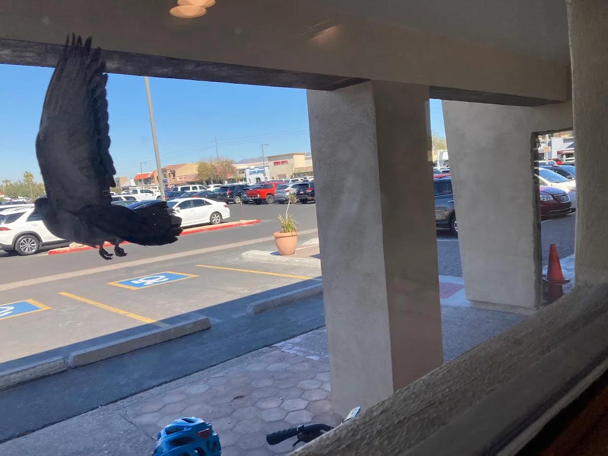 Jabad de Scottsdale — photo 5