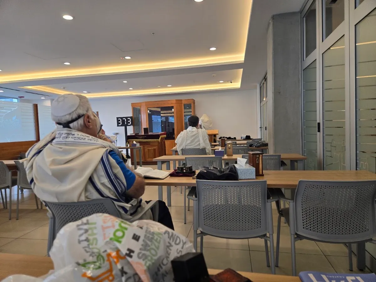 Jabad Lubavitch Costa Rica — photo 5