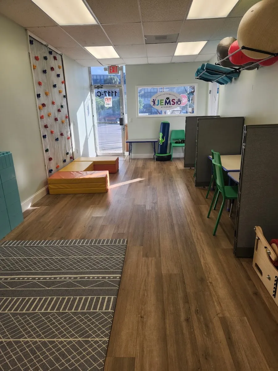 JEMS Academy — photo 2