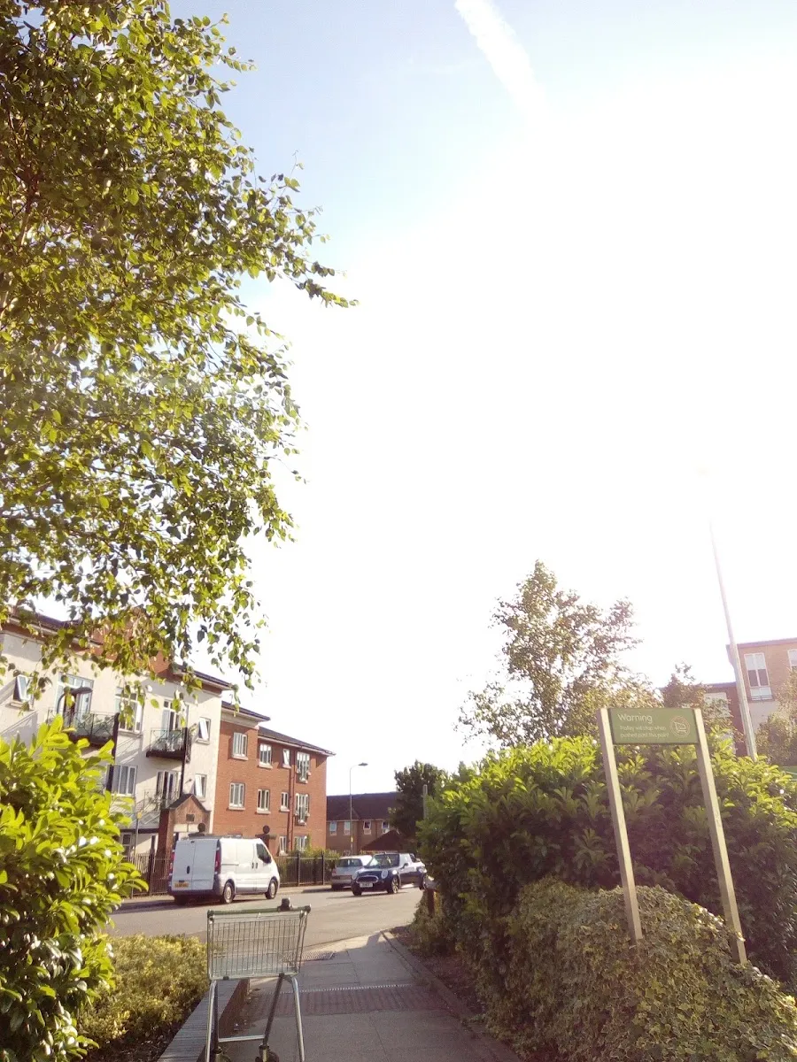 Jewish Blind and Disabled — photo 3