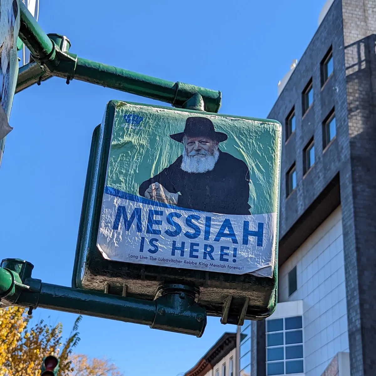 Jewish Brooklyn Hasidic Walking Tours — foto 5