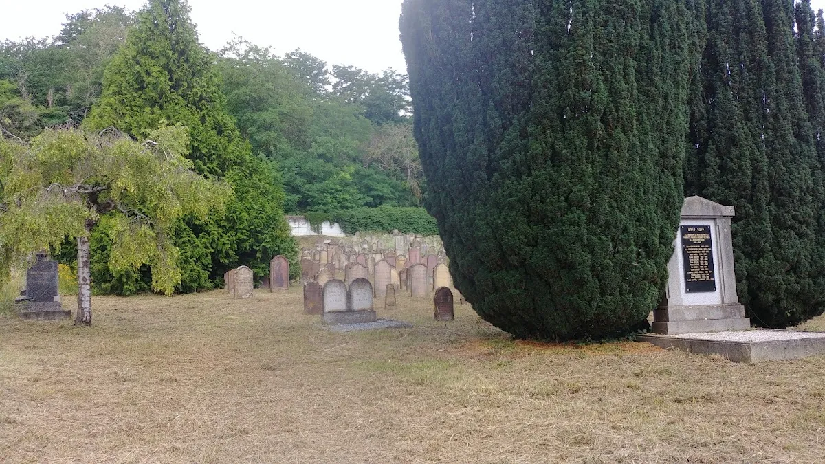 Jewish Cemetery — photo 6