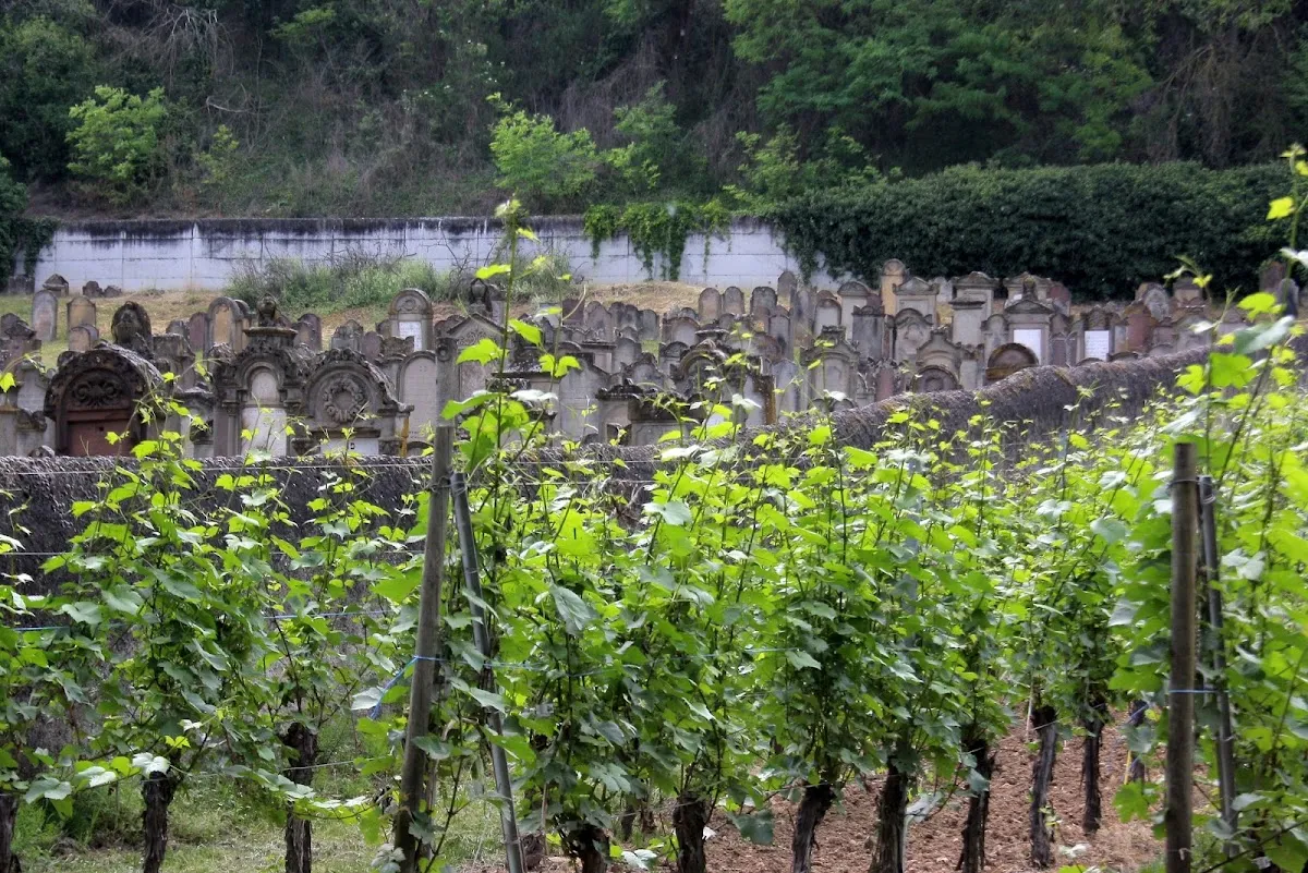 Jewish Cemetery — photo 9