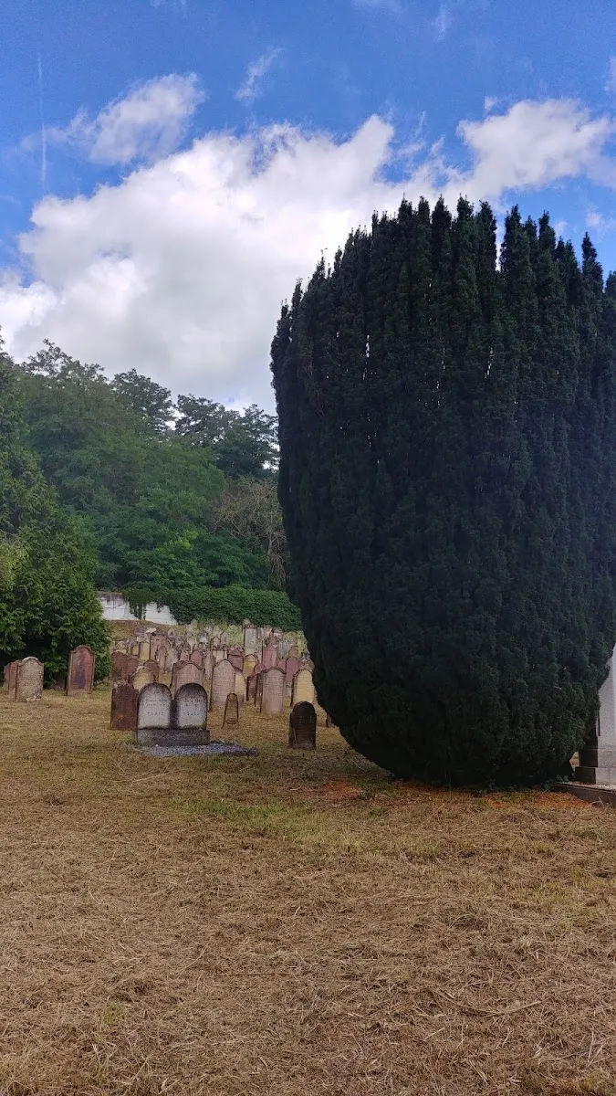 Jewish Cemetery — photo 10